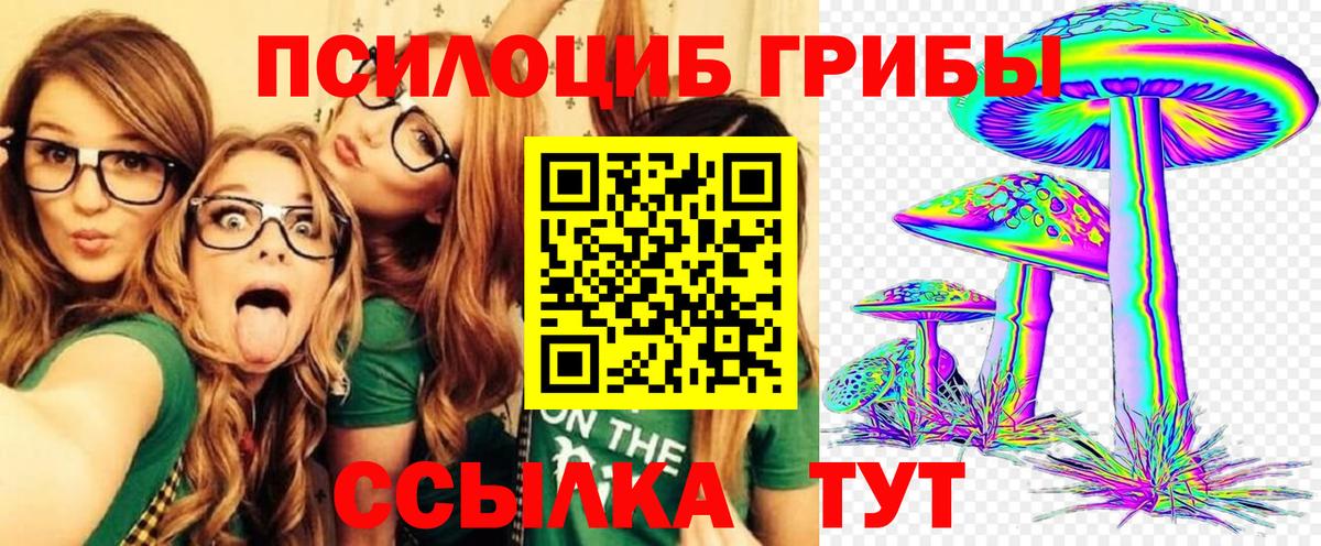 Псилоцибиновые грибы прущие грибы Урус-Мартан